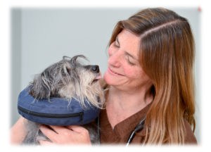 AAHA accredited dvms care for pets
