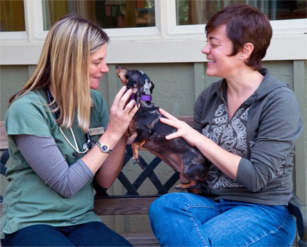 Dr. Lisa exams a dachsund with client.